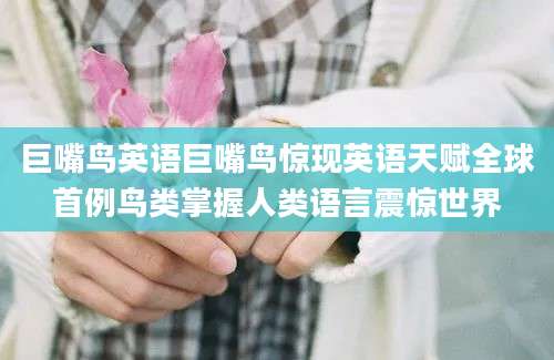 巨嘴鸟英语巨嘴鸟惊现英语天赋全球首例鸟类掌握人类语言震惊世界