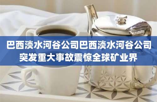 巴西淡水河谷公司巴西淡水河谷公司突发重大事故震惊全球矿业界