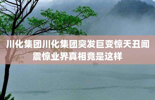 川化集团川化集团突发巨变惊天丑闻震惊业界真相竟是这样