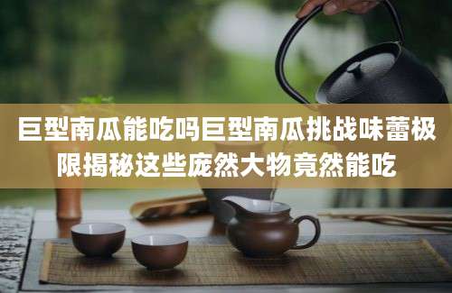 巨型南瓜能吃吗巨型南瓜挑战味蕾极限揭秘这些庞然大物竟然能吃