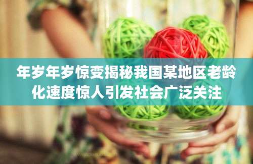 年岁年岁惊变揭秘我国某地区老龄化速度惊人引发社会广泛关注