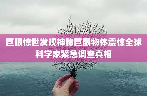 巨眼惊世发现神秘巨眼物体震惊全球科学家紧急调查真相