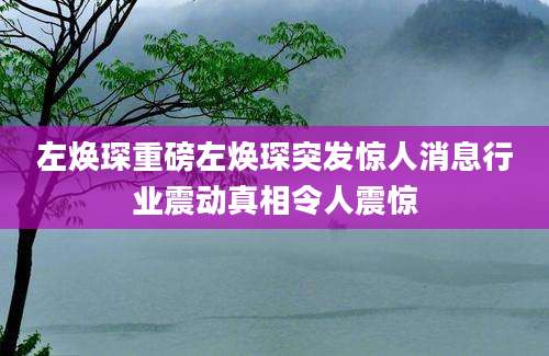 左焕琛重磅左焕琛突发惊人消息行业震动真相令人震惊