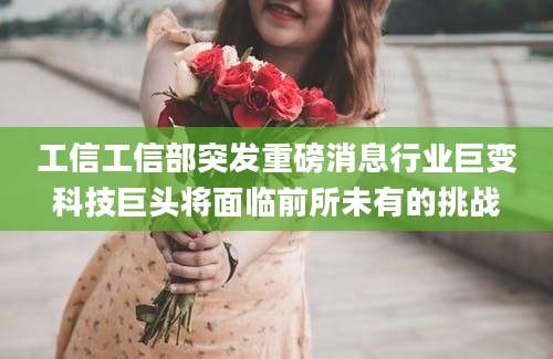 工信工信部突发重磅消息行业巨变科技巨头将面临前所未有的挑战