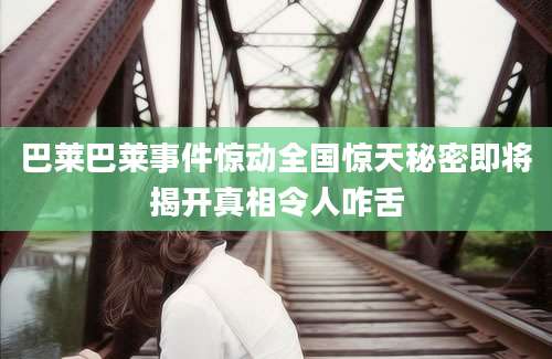巴莱巴莱事件惊动全国惊天秘密即将揭开真相令人咋舌