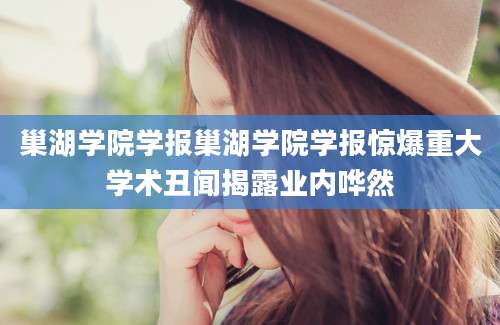 巢湖学院学报巢湖学院学报惊爆重大学术丑闻揭露业内哗然