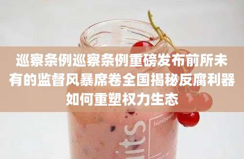 巡察条例巡察条例重磅发布前所未有的监督风暴席卷全国揭秘反腐利器如何重塑权力生态