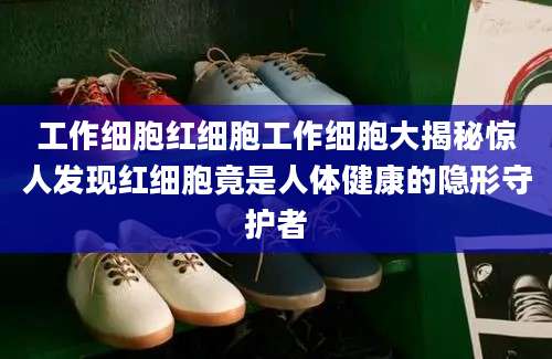 工作细胞红细胞工作细胞大揭秘惊人发现红细胞竟是人体健康的隐形守护者