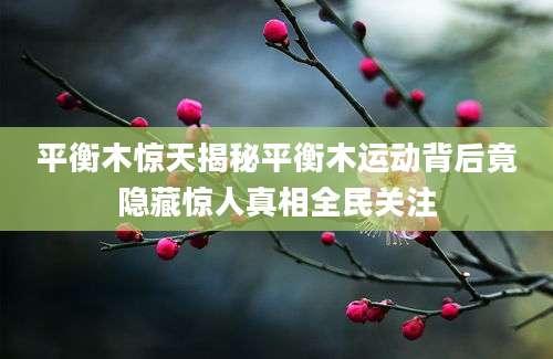 平衡木惊天揭秘平衡木运动背后竟隐藏惊人真相全民关注