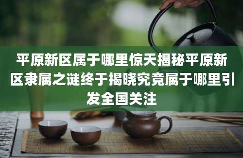 平原新区属于哪里惊天揭秘平原新区隶属之谜终于揭晓究竟属于哪里引发全国关注