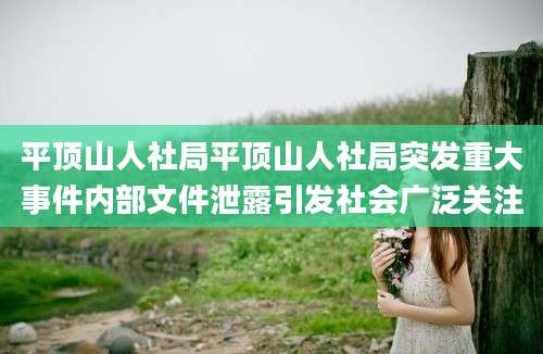 平顶山人社局平顶山人社局突发重大事件内部文件泄露引发社会广泛关注