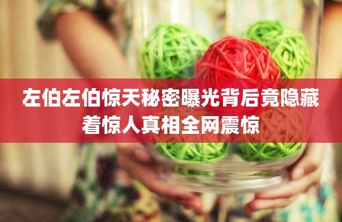 左伯左伯惊天秘密曝光背后竟隐藏着惊人真相全网震惊
