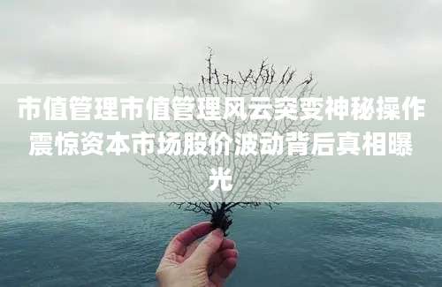 市值管理市值管理风云突变神秘操作震惊资本市场股价波动背后真相曝光