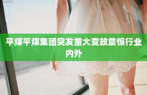 平煤平煤集团突发重大变故震惊行业内外
