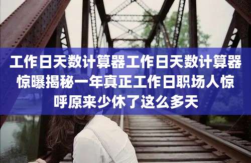 工作日天数计算器工作日天数计算器惊曝揭秘一年真正工作日职场人惊呼原来少休了这么多天