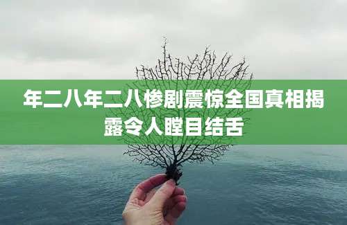 年二八年二八惨剧震惊全国真相揭露令人瞠目结舌