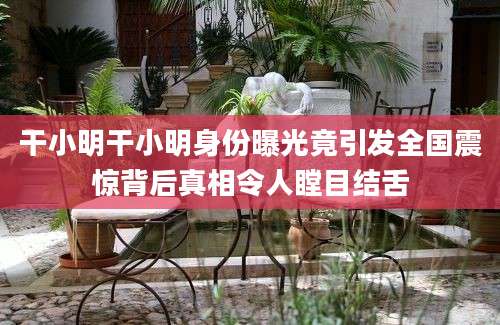 干小明干小明身份曝光竟引发全国震惊背后真相令人瞠目结舌