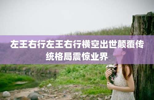 左王右行左王右行横空出世颠覆传统格局震惊业界