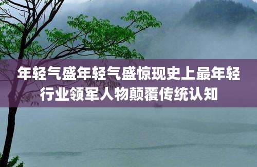 年轻气盛年轻气盛惊现史上最年轻行业领军人物颠覆传统认知