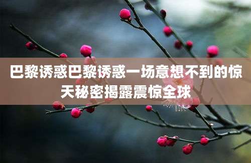 巴黎诱惑巴黎诱惑一场意想不到的惊天秘密揭露震惊全球