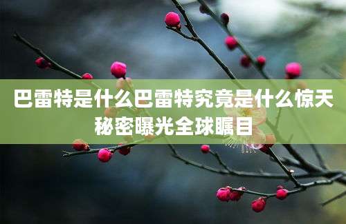 巴雷特是什么巴雷特究竟是什么惊天秘密曝光全球瞩目