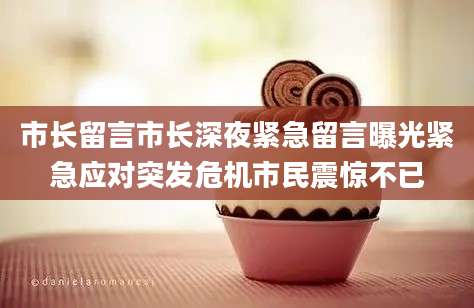 市长留言市长深夜紧急留言曝光紧急应对突发危机市民震惊不已