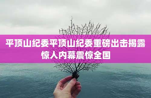 平顶山纪委平顶山纪委重磅出击揭露惊人内幕震惊全国