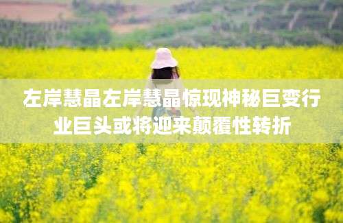 左岸慧晶左岸慧晶惊现神秘巨变行业巨头或将迎来颠覆性转折