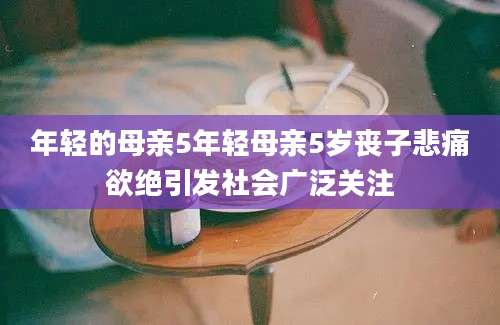 年轻的母亲5年轻母亲5岁丧子悲痛欲绝引发社会广泛关注