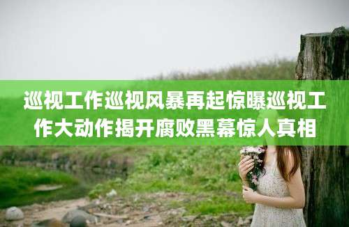 巡视工作巡视风暴再起惊曝巡视工作大动作揭开腐败黑幕惊人真相