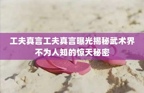 工夫真言工夫真言曝光揭秘武术界不为人知的惊天秘密