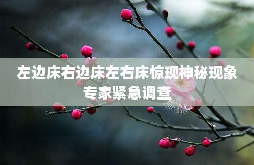 左边床右边床左右床惊现神秘现象专家紧急调查