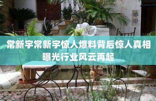 常新宇常新宇惊人爆料背后惊人真相曝光行业风云再起