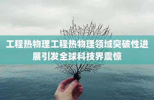 工程热物理工程热物理领域突破性进展引发全球科技界震惊