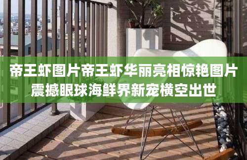 帝王虾图片帝王虾华丽亮相惊艳图片震撼眼球海鲜界新宠横空出世