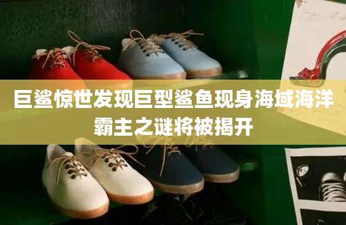 巨鲨惊世发现巨型鲨鱼现身海域海洋霸主之谜将被揭开