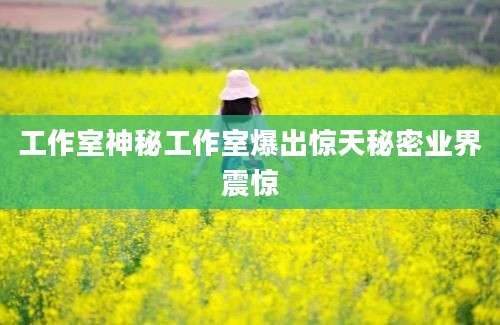 工作室神秘工作室爆出惊天秘密业界震惊