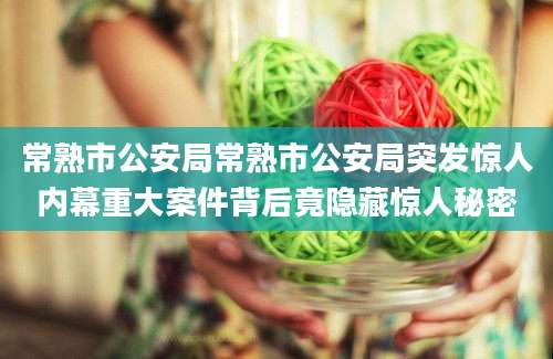 常熟市公安局常熟市公安局突发惊人内幕重大案件背后竟隐藏惊人秘密