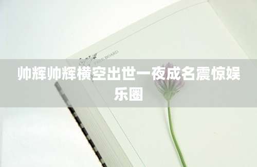 帅辉帅辉横空出世一夜成名震惊娱乐圈