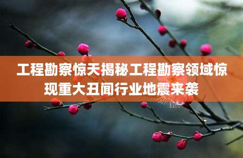 工程勘察惊天揭秘工程勘察领域惊现重大丑闻行业地震来袭