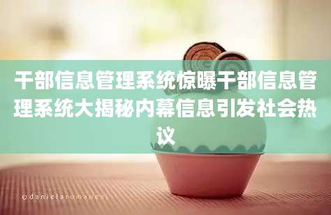 干部信息管理系统惊曝干部信息管理系统大揭秘内幕信息引发社会热议