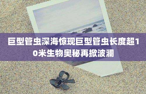 巨型管虫深海惊现巨型管虫长度超10米生物奥秘再掀波澜