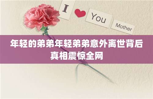 年轻的弟弟年轻弟弟意外离世背后真相震惊全网