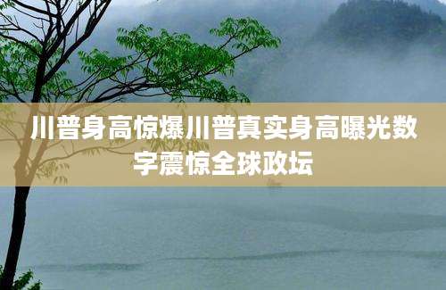川普身高惊爆川普真实身高曝光数字震惊全球政坛