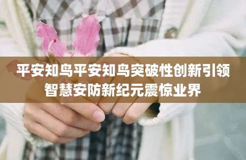 平安知鸟平安知鸟突破性创新引领智慧安防新纪元震惊业界