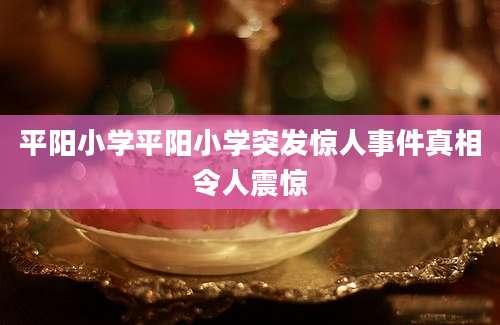 平阳小学平阳小学突发惊人事件真相令人震惊