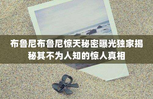 布鲁尼布鲁尼惊天秘密曝光独家揭秘其不为人知的惊人真相