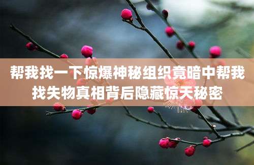 帮我找一下惊爆神秘组织竟暗中帮我找失物真相背后隐藏惊天秘密
