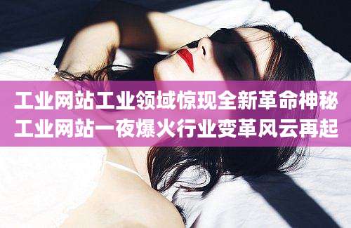 工业网站工业领域惊现全新革命神秘工业网站一夜爆火行业变革风云再起