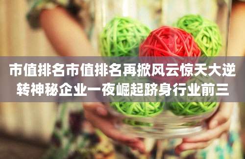 市值排名市值排名再掀风云惊天大逆转神秘企业一夜崛起跻身行业前三